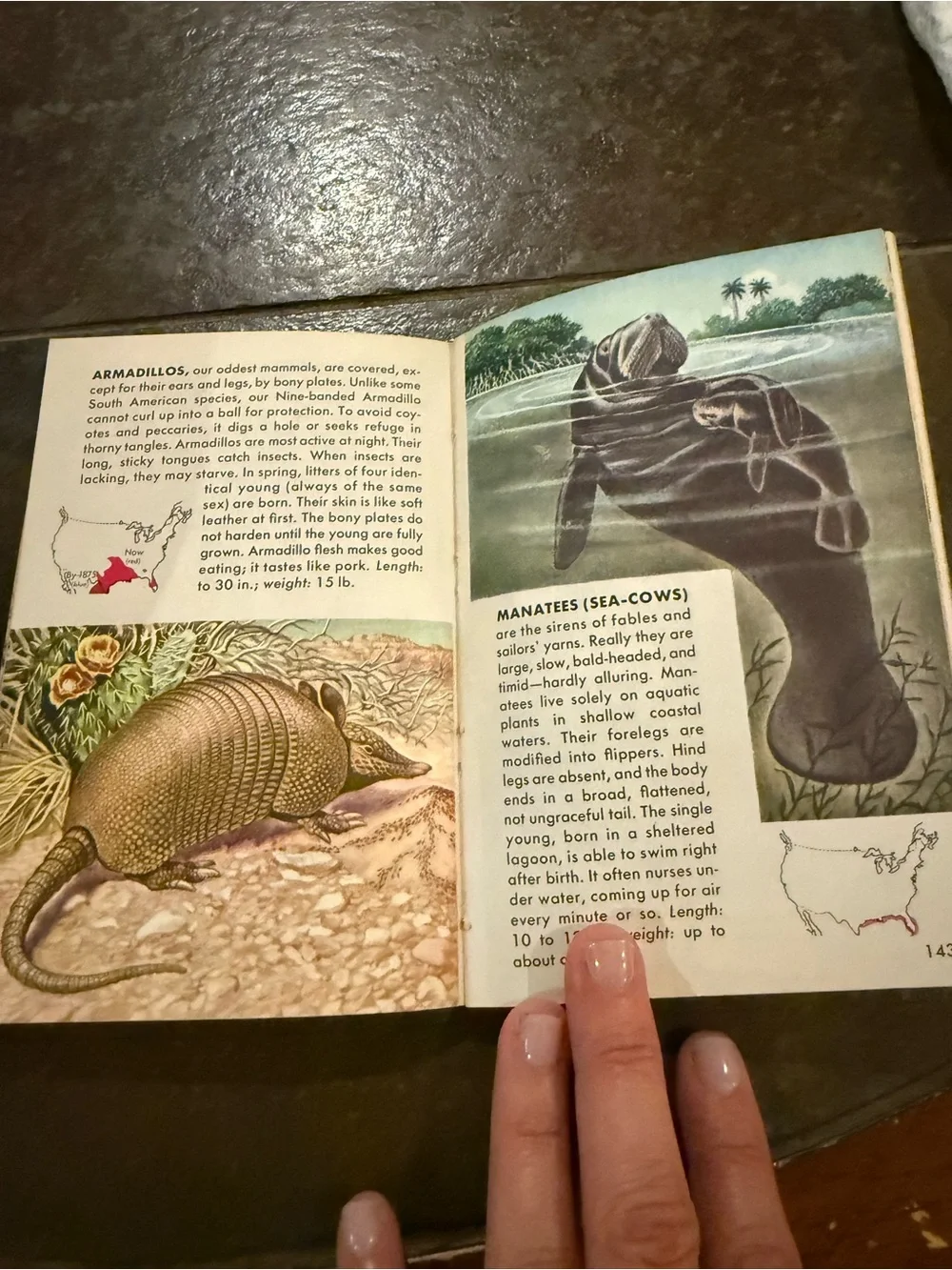VTG Mammals: A Golden Nature Guide - Yellow Illustrated Cover